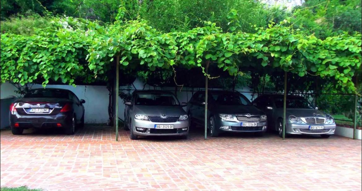 Apartamento Carine Garden Risan Exterior foto