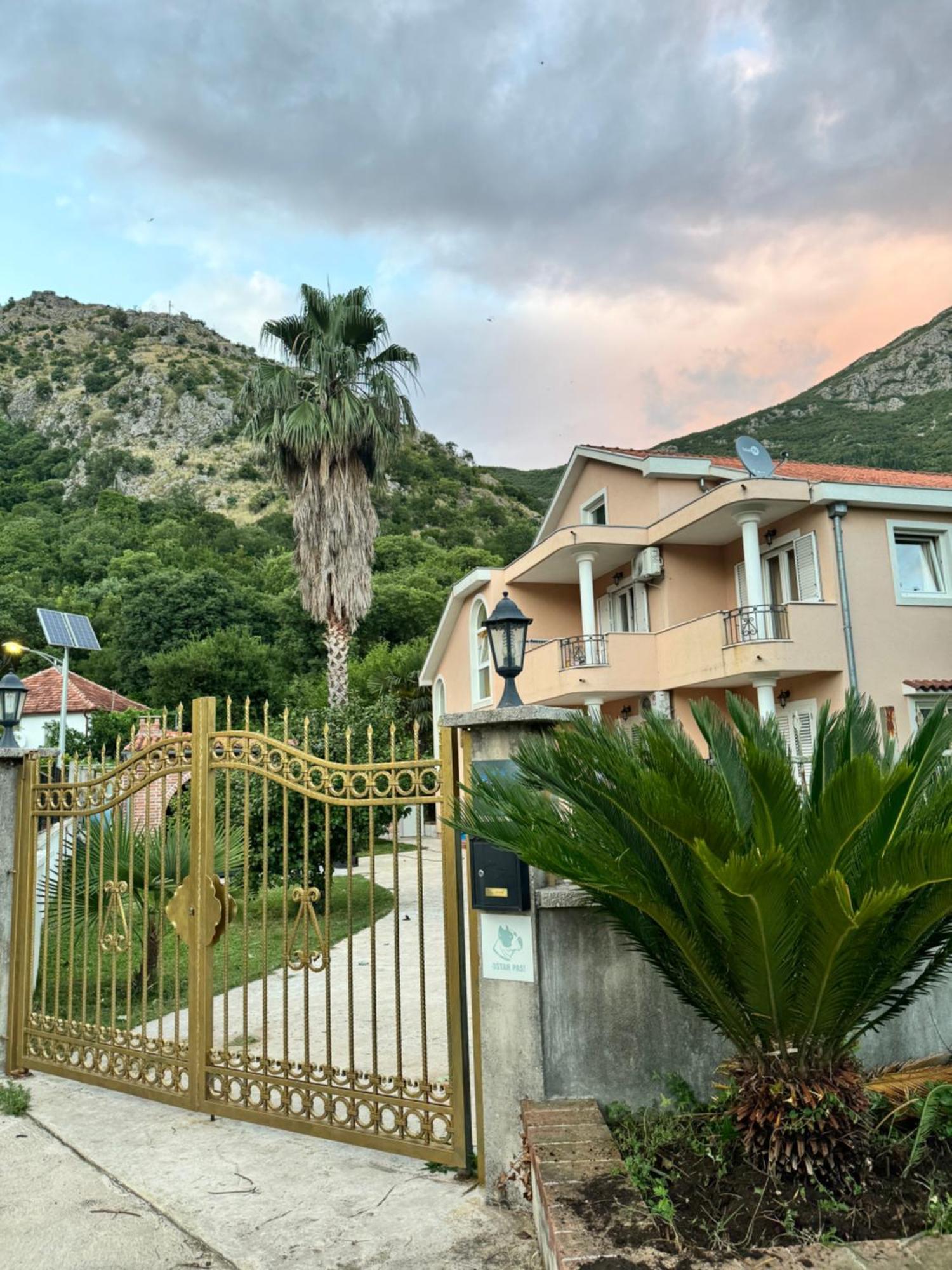 Apartamento Carine Garden Risan Exterior foto