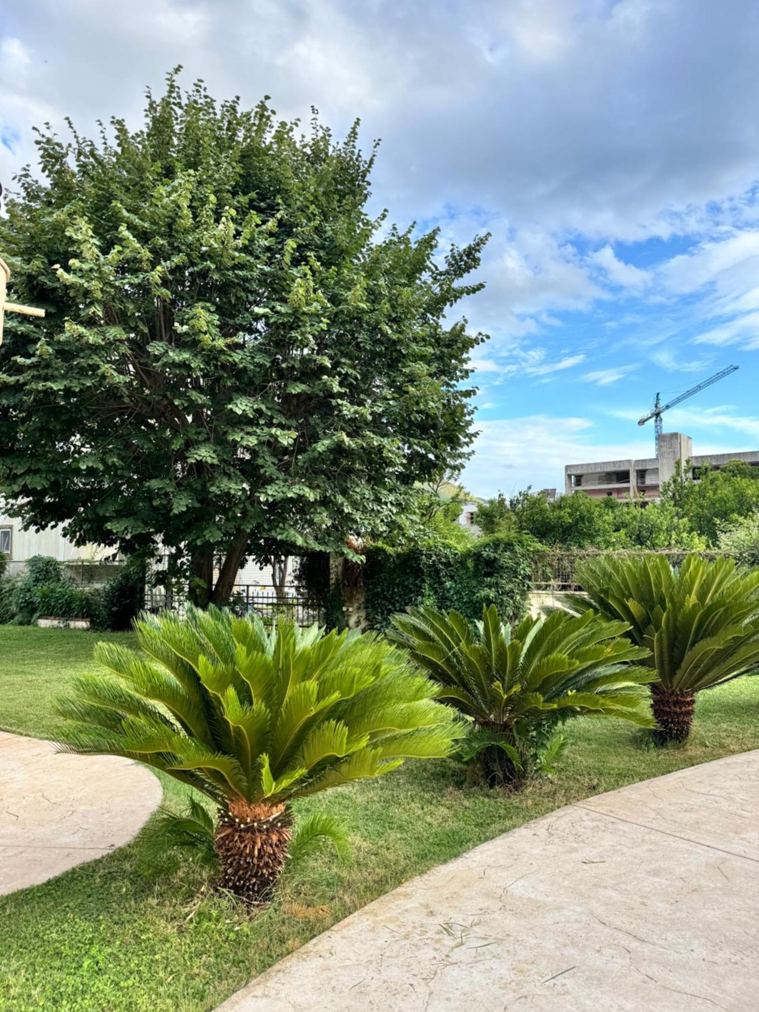 Apartamento Carine Garden Risan Exterior foto
